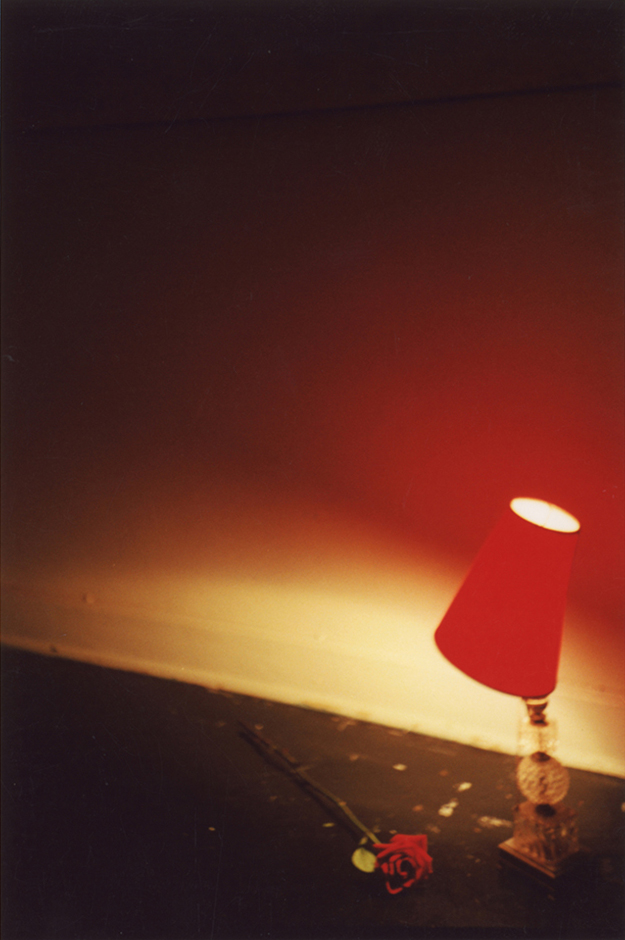 red rose #1 (alone) / 30x20 / c-print / edition of 3