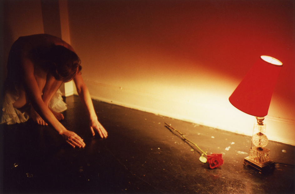 red rose #4 (surrender) / 20x30 / c-print / edition of 3